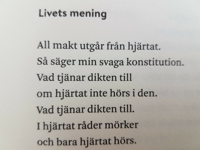 Livets mening.jpg